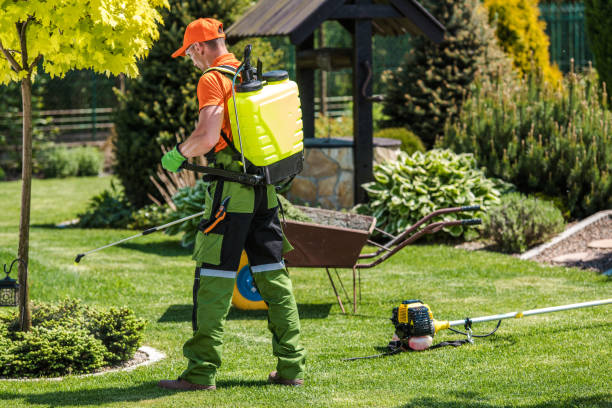 Best Lawn Pest Control  in Uniondale, NY